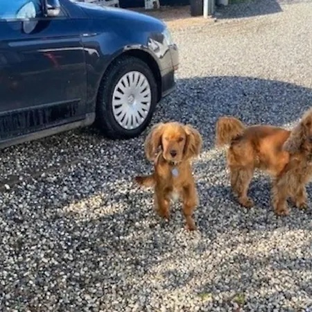 Nedlagt Landbrug Med 3 * Vejle