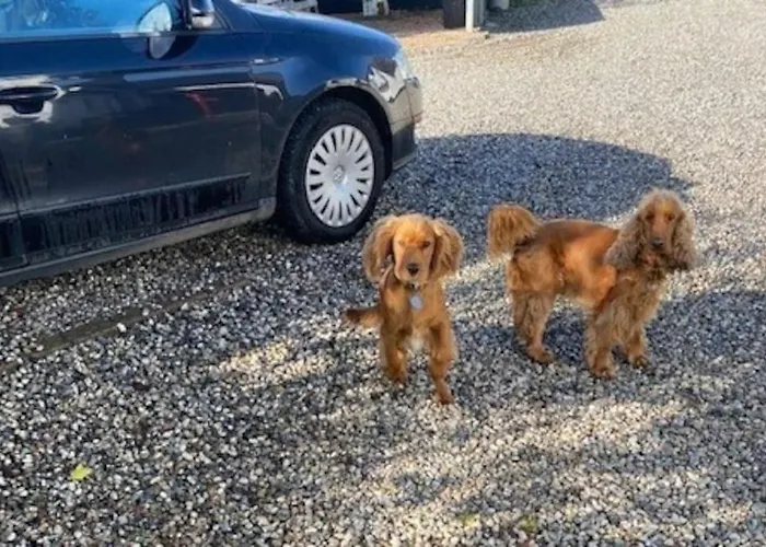 Nedlagt Landbrug Med 3 * Vejle