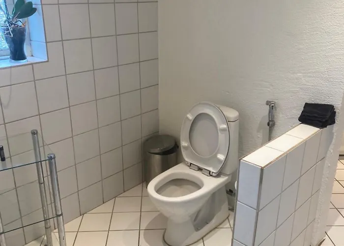 Nedlagt Landbrug Med 3 Lägenhet Vejle