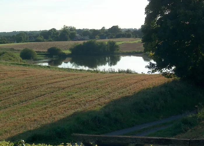 Nedlagt Landbrug Med 3 *